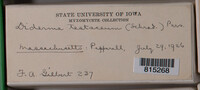 Image Associated With the Occurence
